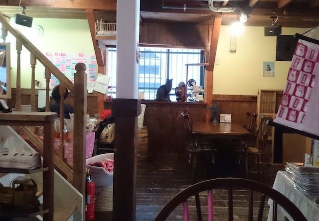 ツキネコカフェ – 札幌 西28丁目の猫カフェ