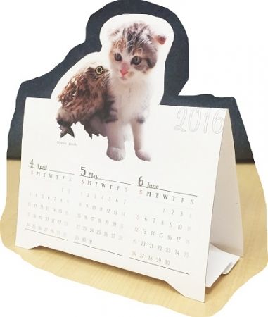 猫とフクロウの仲良しコンビ「マリモ＆フク」の卓上カレンダー