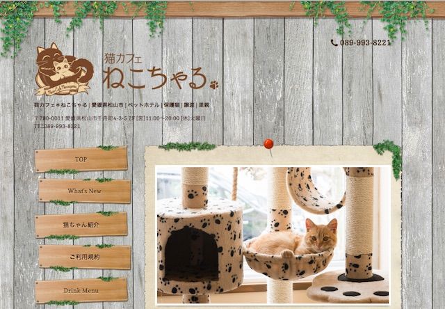 松山の保護猫カフェ「ねこちゃる」