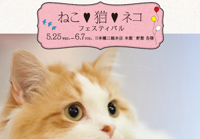 日本橋三越本店「ねこ・猫・ネコ フェスティバル」