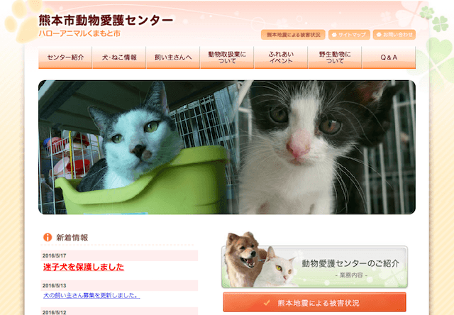 熊本市動物愛護センター、入院時に被災者の犬猫を無償預かり