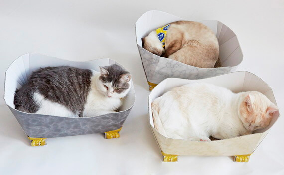 バスタブで寝る3匹の猫