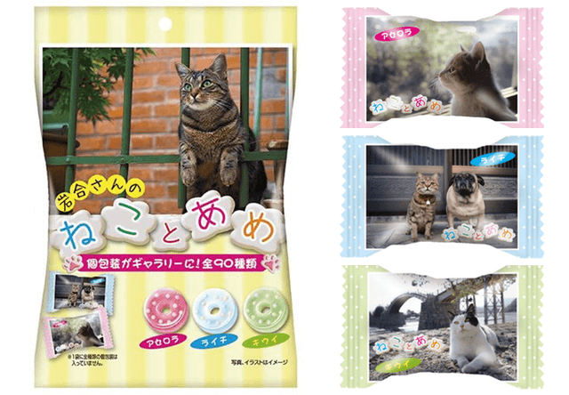 岩合さんの猫写真が包み紙,「ねことあめ」がローソンで発売中