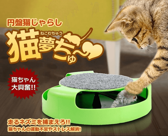 ❤極上の猫心地❣運動不足＆ストレスを楽しみながら一気に解消