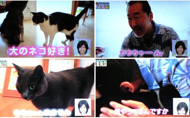 猫を4匹飼っている竹内薫さん