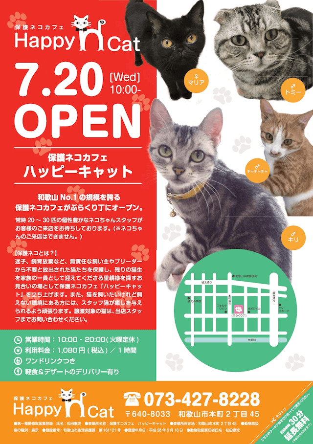 和歌山市本町のぶらくり丁商店街に保護猫カフェ「ハッピーキャット」がオープン
