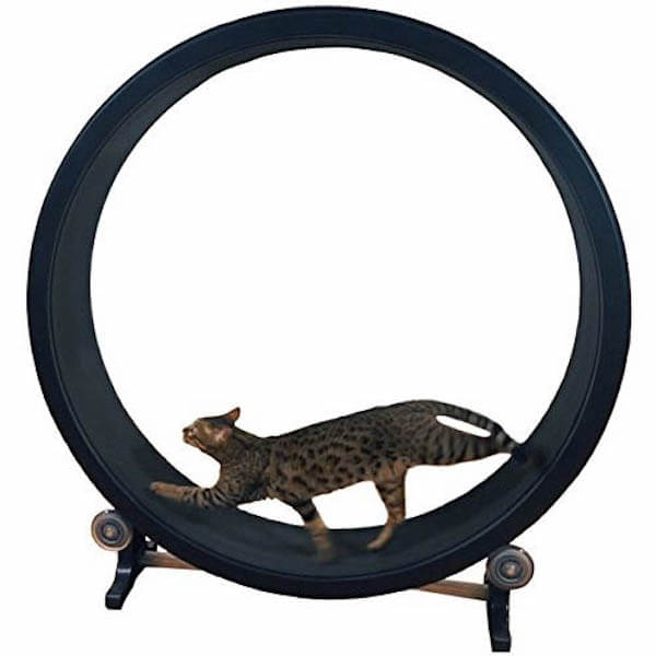 猫用のルームランナー「Cat Exercise Wheel」が日本でも販売開始 | Cat ...