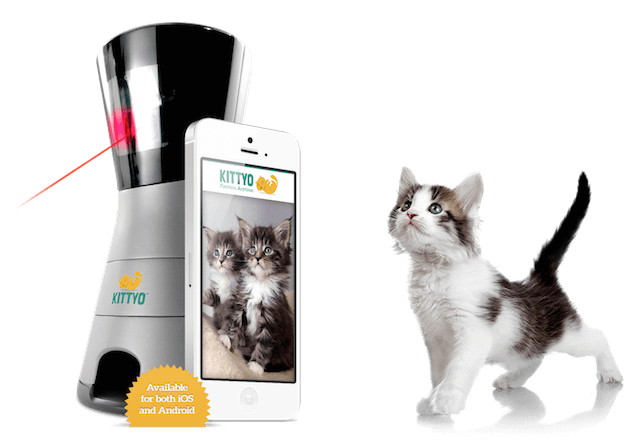 遠隔操作で猫と遊べる＆給餌もできる「KITTYO」、日本企業が販売