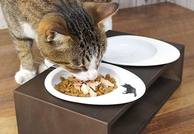 タマゴ形のお皿、「ドゥーエッグフードボウル」に猫用が登場