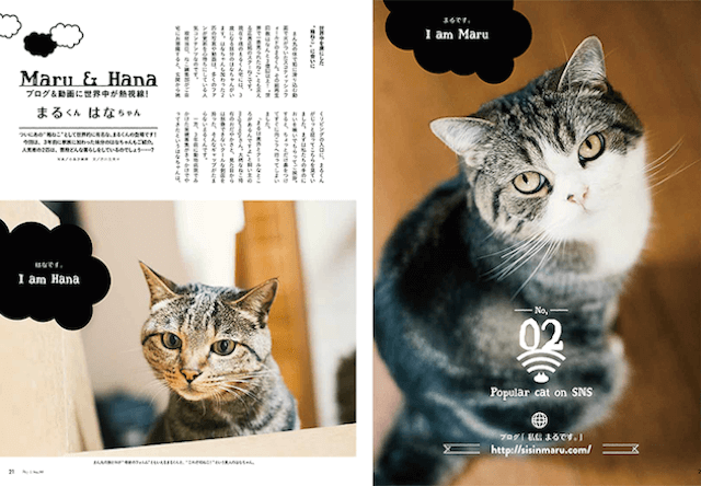 雑誌「ねこ」の8月号はバニラ、まる、ポッケなど人気猫特集  Cat 