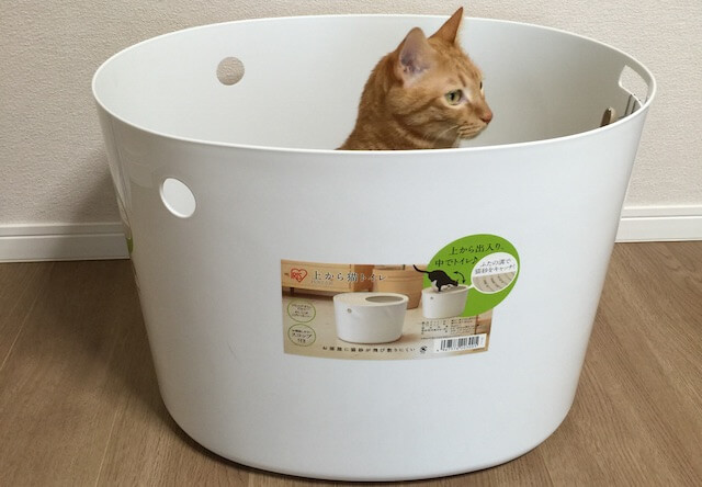 製品レビュー】尿と猫砂が飛び散りにくい、アイリスオーヤマの「上から猫トイレ」を使ってみた | Cat Press（キャットプレス）