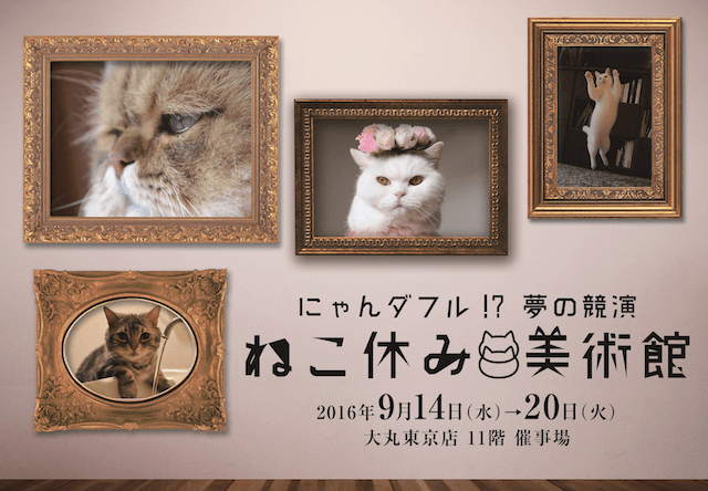 注目猫イベント「ねこ休み美術館」が9/14〜大丸東京店で開催