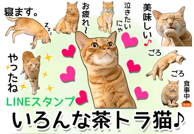 茶トラ好きにおすすめ Lineスタンプ いろんな茶トラ猫 が登場 Cat