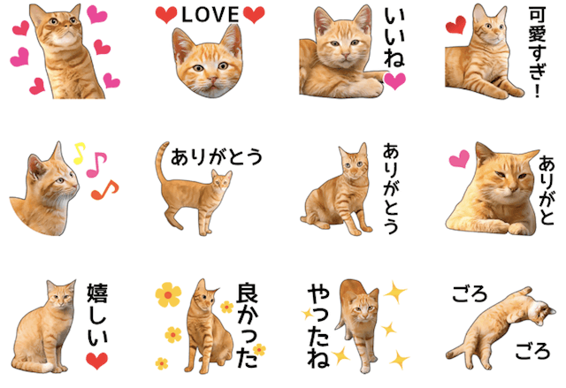 茶トラ好きにおすすめ Lineスタンプ いろんな茶トラ猫 が登場 Cat Press キャットプレス