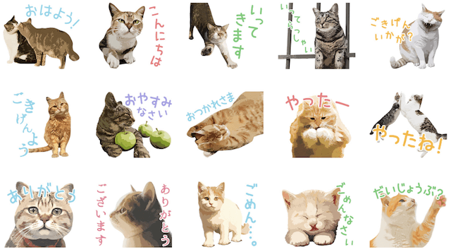 ついに出たにゃ！岩合光昭さんの猫写真がLINEスタンプに | Cat Press 