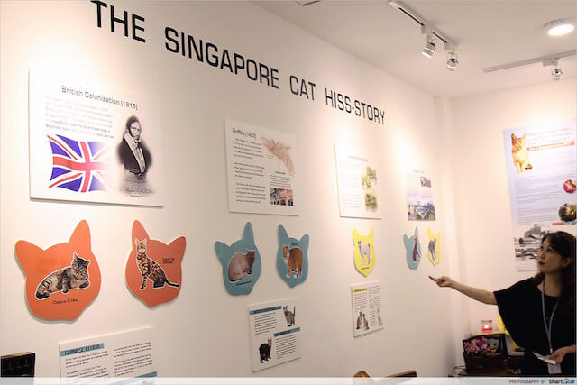 シンガポール初のネコ博物館（The Cat Museum, Muses & Mansion）