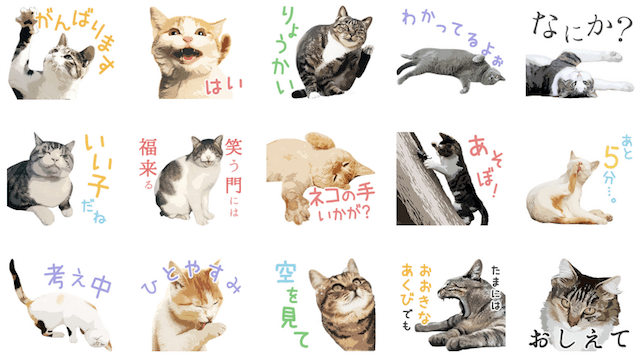 ついに出たにゃ！岩合光昭さんの猫写真がLINEスタンプに | Cat Press 