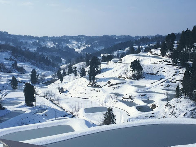 山古志村の冬景色、棚田