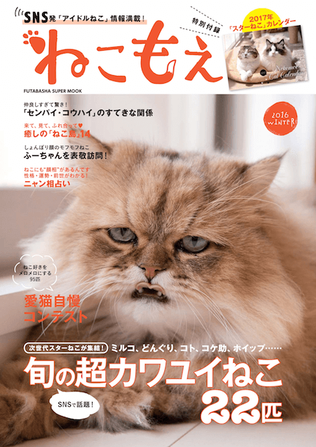 しょんぼり顔の猫「ふーちゃん」が表紙の「ねこもえ」