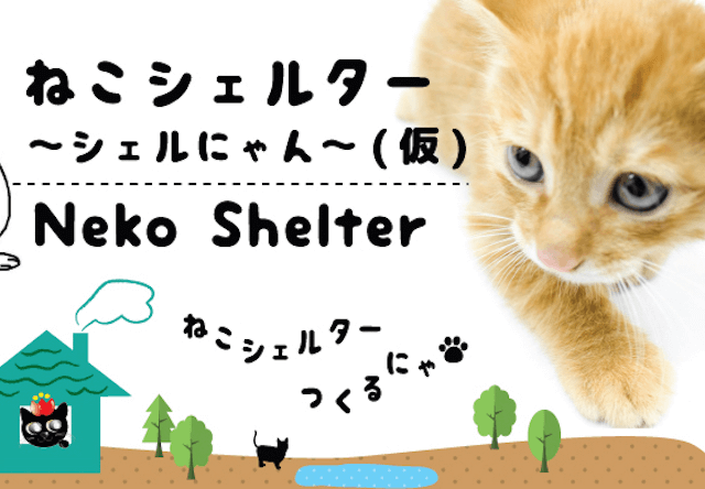 岐阜県の猫殺処分0を目指し、複合型保護猫施設の計画が進行中