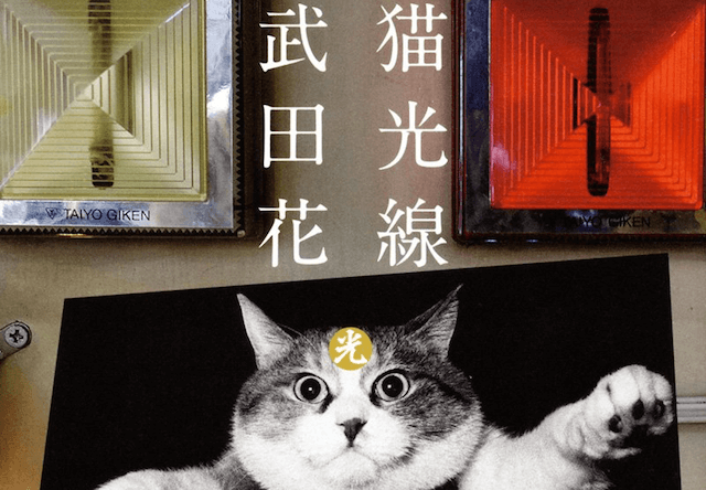 武田花さんの写真集「猫光線」の写真展が森岡書店銀座店で開催