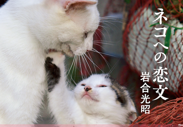 岩合光昭さんの最新作、「ネコへの恋文」が10/3に発売開始