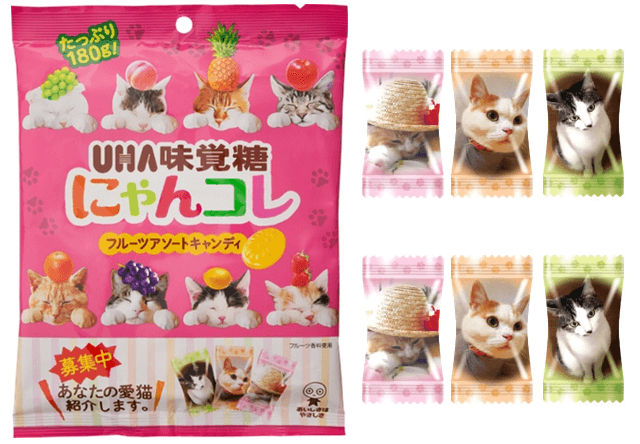 猫キャンディ「にゃんコレ」が発売！包装用のネコ写真も募集中