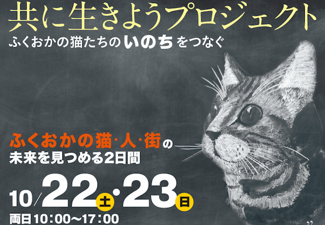 大丸福岡店のパサージュ広場で10/22から猫の写真展などを開催