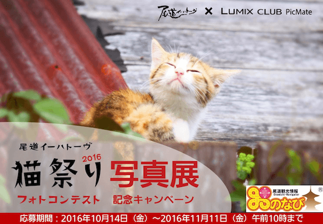 尾道の猫フォトコンテストの入賞作品展が、東京丸の内で開催