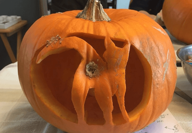 これぞ芸術！かぼちゃの彫刻で表現した猫のお尻がリアルすぎる