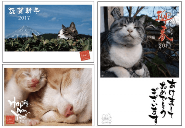 岩合光昭さんの猫写真が年賀ハガキに！郵便局でサイン会も