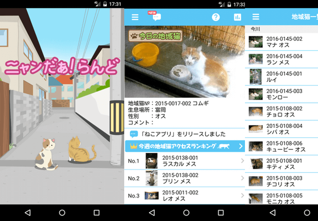 地域猫を共有するアプリ「ニャンだぁ！らんど」