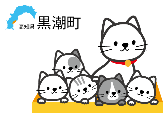 高知県の黒潮町、野良猫の不妊手術に補助金の交付受付を開始