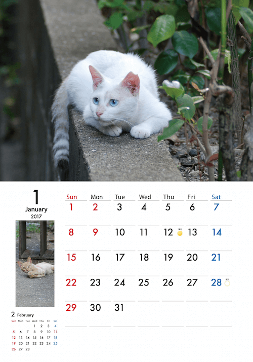 地域猫カレンダー2017「吾輩は地域猫である」のイメージ