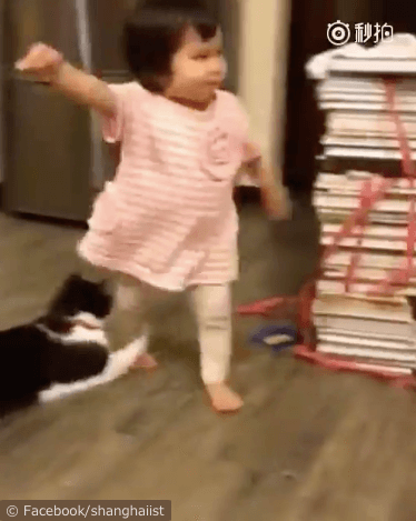 女の子を転ばせる猫の動画、女の子の足に手を掛ける猫