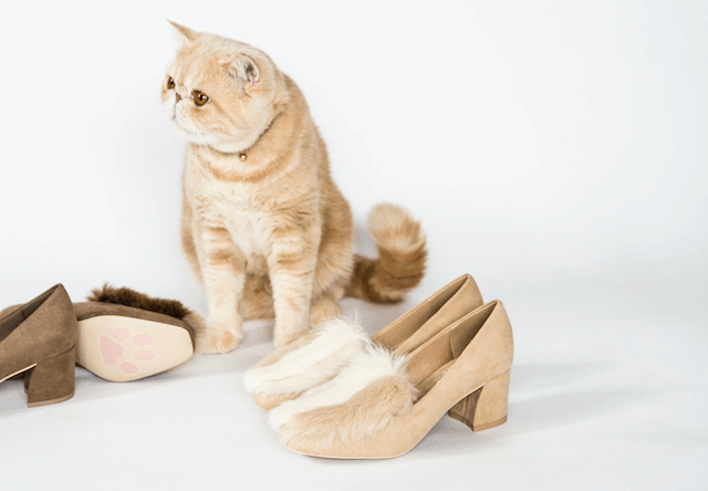 人気猫マッシュとコラボしたスクエアトゥファーパンプス（Square toe fur pumps）