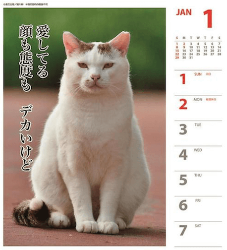 猫カレンダー 猫川柳