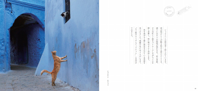 写真集「ネコへの恋文」のイメージ2