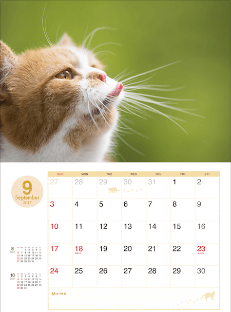 ふてネコ春馬の2017年カレンダー写真4
