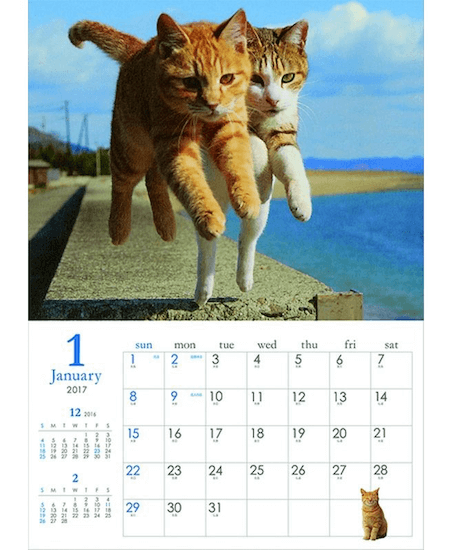 猫カレンダー 飛び猫