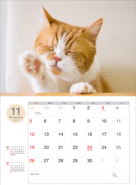 ふてネコ春馬の2017年カレンダー写真6