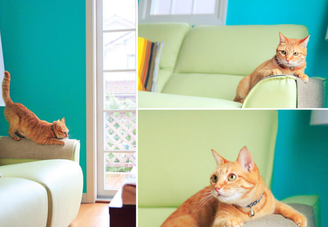 フェリシモ猫部のソファや椅子をカバーする爪とぎシート