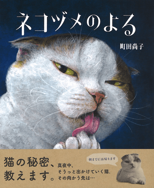 町田尚子さん作の絵本「ネコヅメのよる」