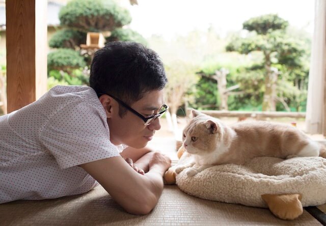 映画「ねこあつめ」の主演を務める伊藤淳史さんと、映画に登場する猫