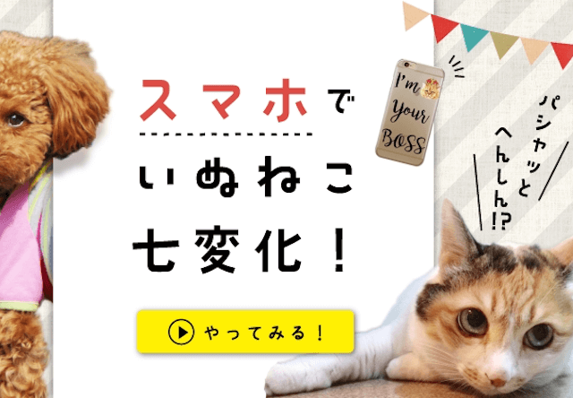 愛猫の写真でiPhoneケースを作れる、いぬねこ七変化キャンペーン開催中