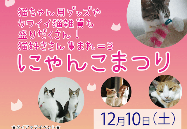 ハウスクエア横浜で猫好きのためのイベント「にゃんこまつり」が開催