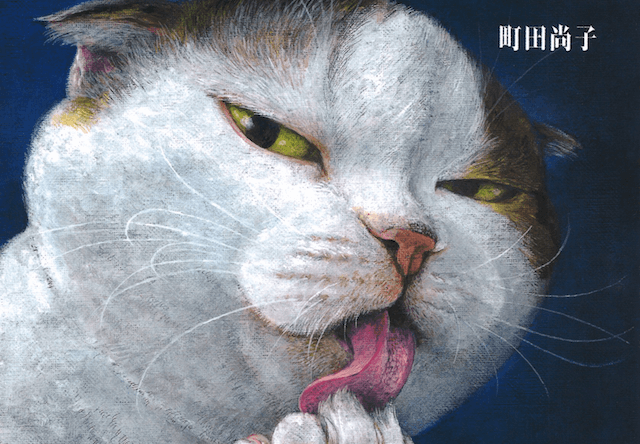猫たちの”ある秘密”を幻想的に描いた絵本「ネコヅメのよる」