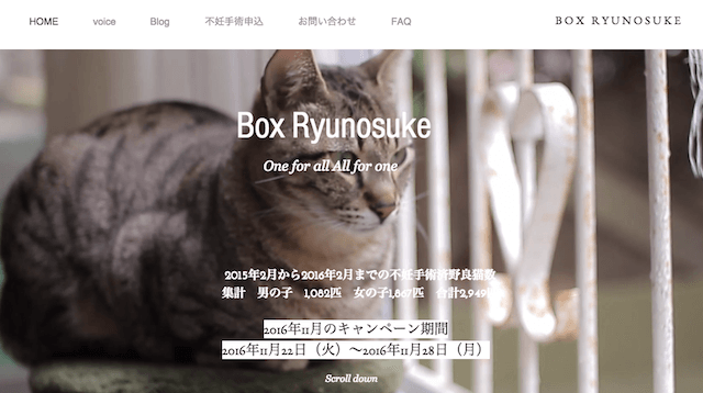 不妊手術キャンペーンなどのボランティア活動を行っている「Box Ryunosuke」