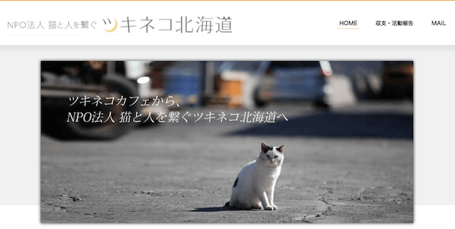 NPO法人「猫と人を繋ぐツキネコ北海道