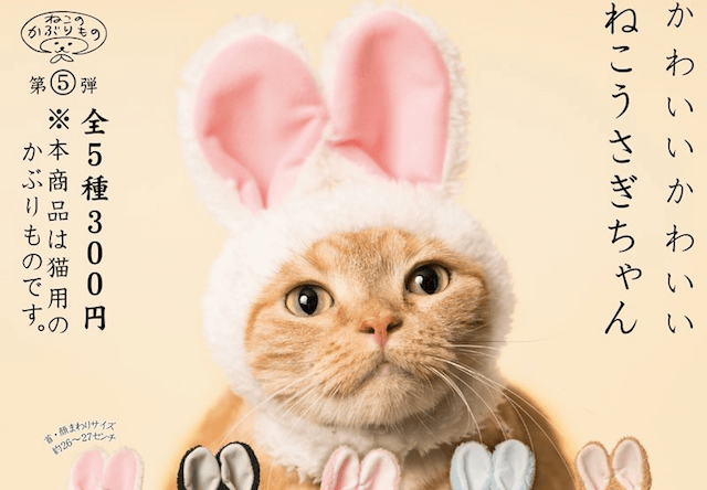猫がウサギになれる「ねこうさぎ」300円のカプセルトイで登場
